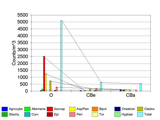 Mold Growth Humidity Chart