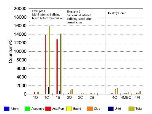 Radon Home Measurement And Mitigation The First Set Of Three Test Results Shows That Mold Infested Building Was Identified Because Spore Levels Inside Were Much Higher Than Outside