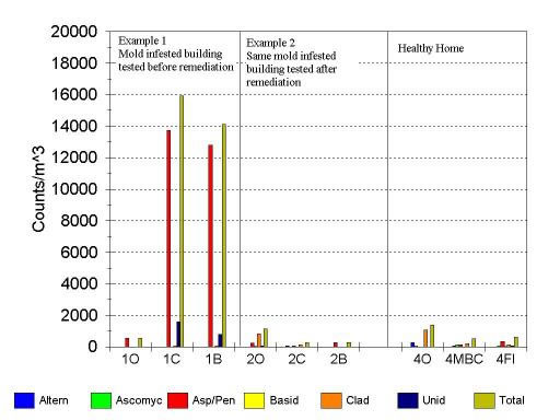 mold chart measurement