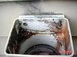 Mold in home made radon mitigation